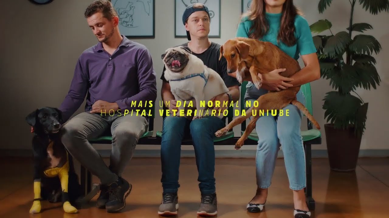 Vídeo — HVU, Hospital Veterinário