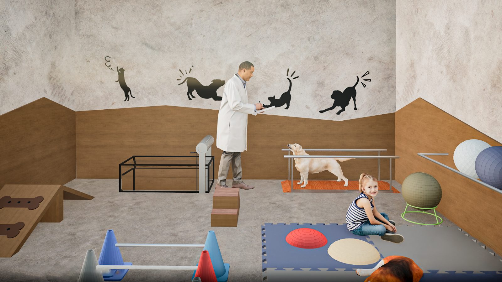 Sala de fisioterapia e reabilitação animal do HVU